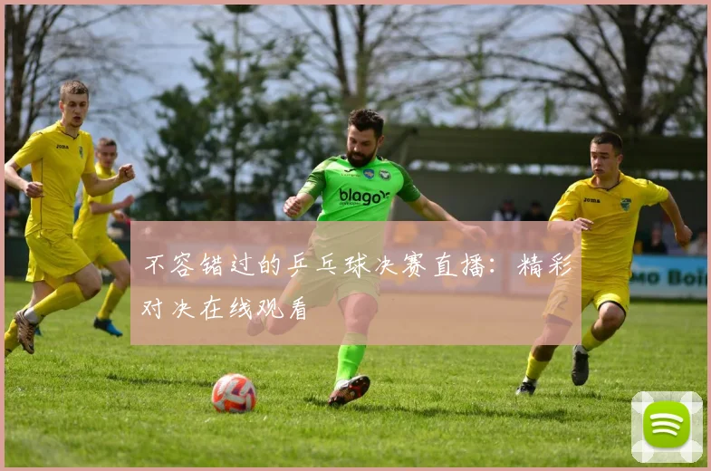 不容错过的乒乓球决赛直播:精彩对决在线观看