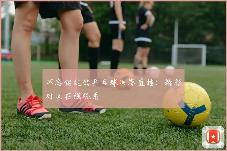 不容错过的乒乓球决赛直播：精彩对决在线观看